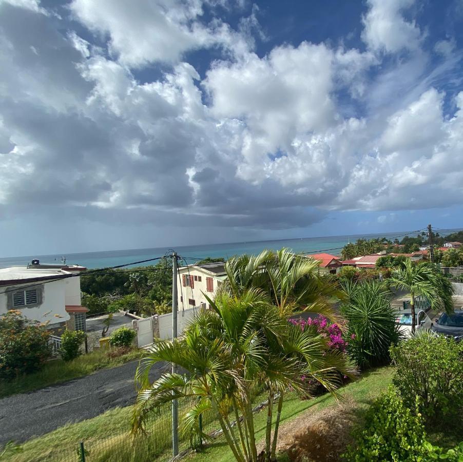 Ferienwohnung Les Hibiscus Sainte-Luce Exterior foto